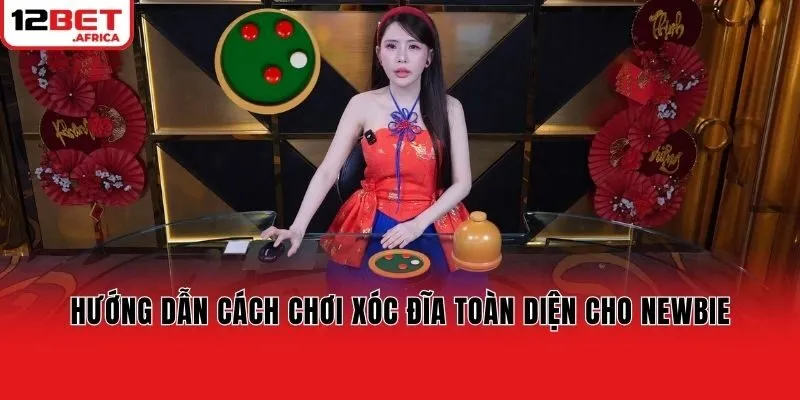 Hướng dẫn cách chơi xóc đĩa toàn diện cho newbie