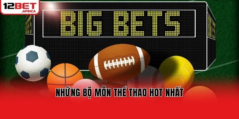 Những bộ môn thể thao hot nhất