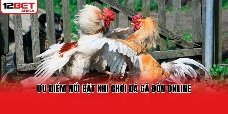 Ưu điểm nổi bật khi chơi đá gà đòn online